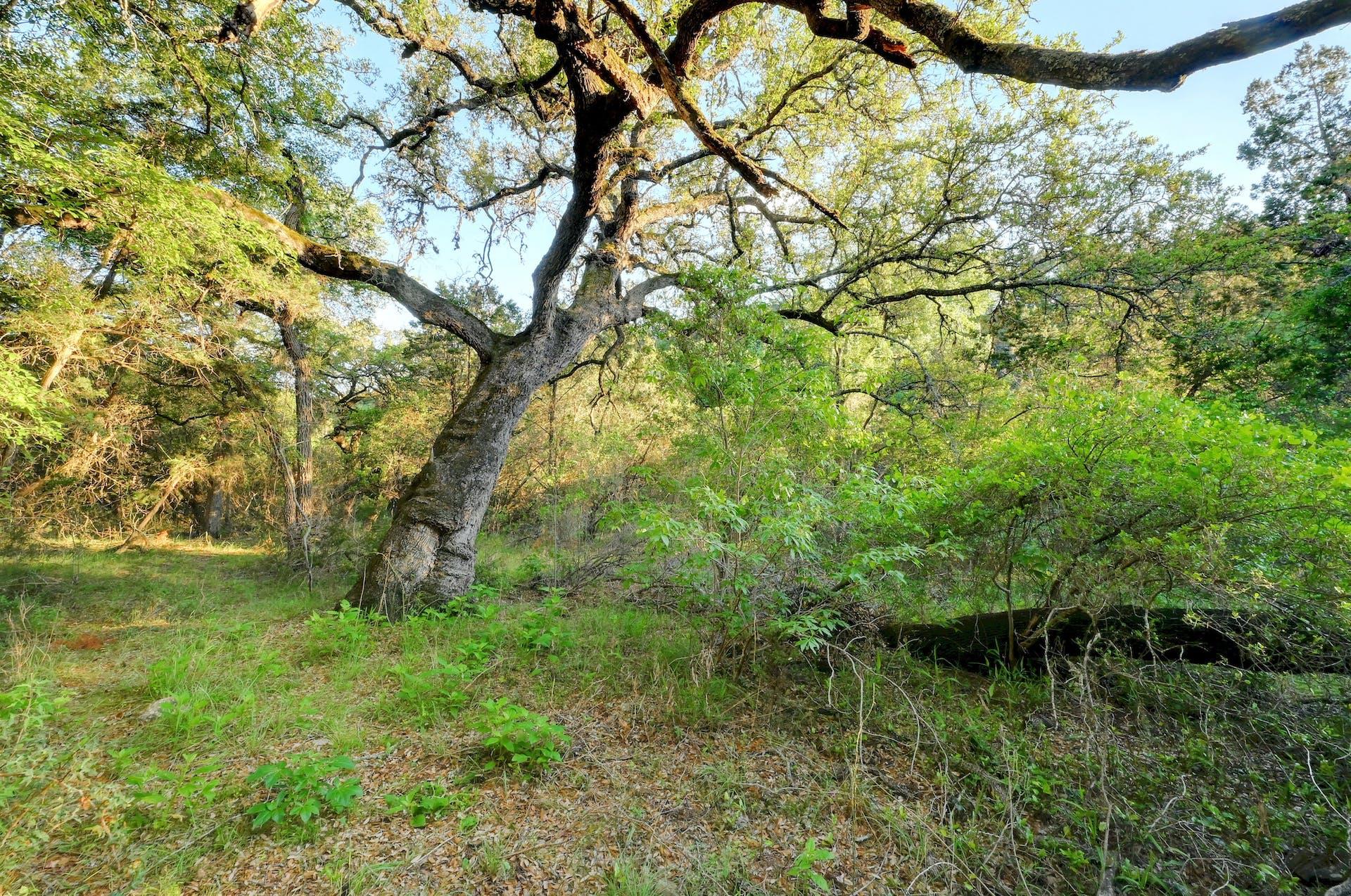 10700 Fm306 Property Photo 16