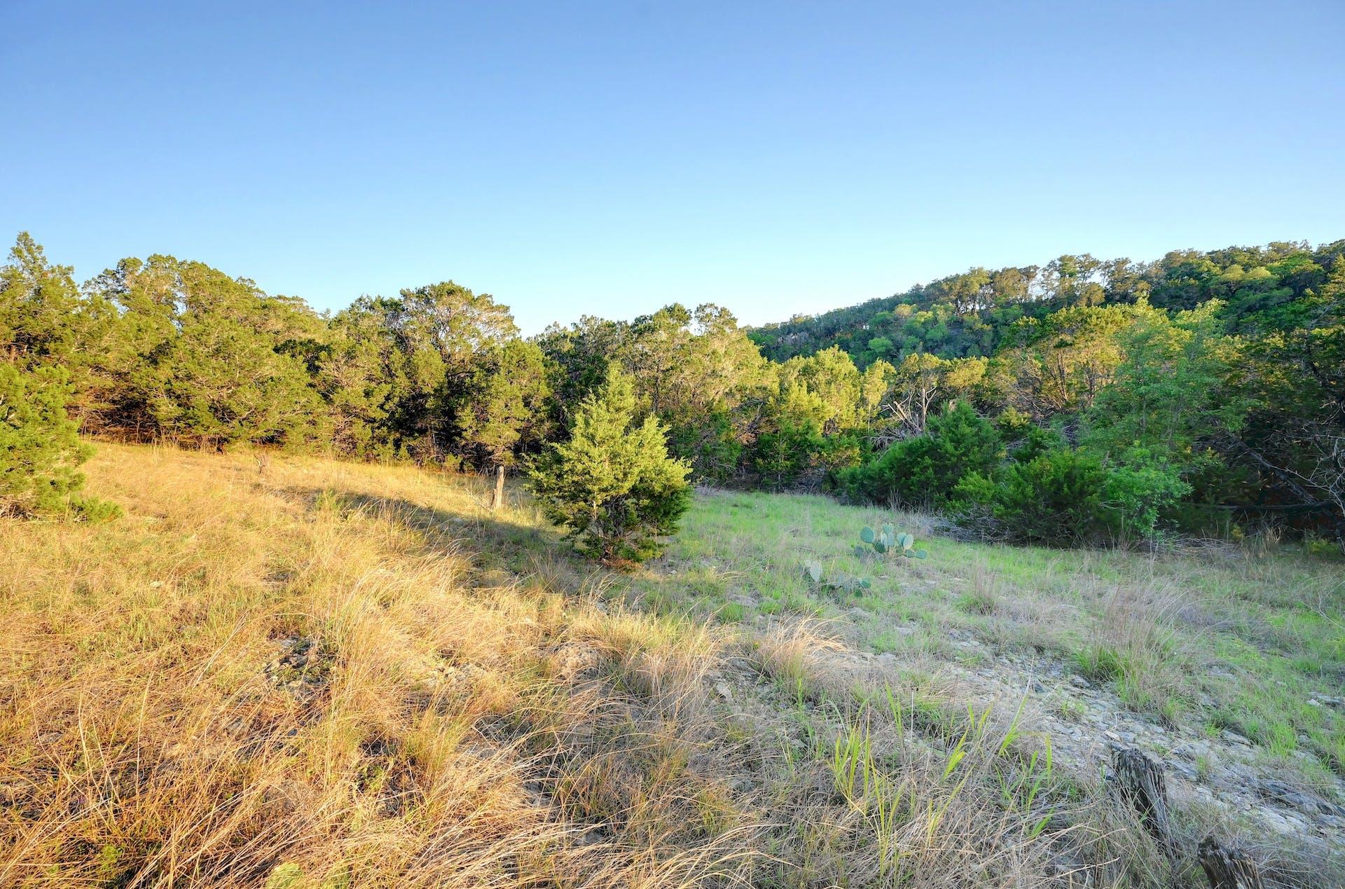 10700 Fm306 Property Photo 17