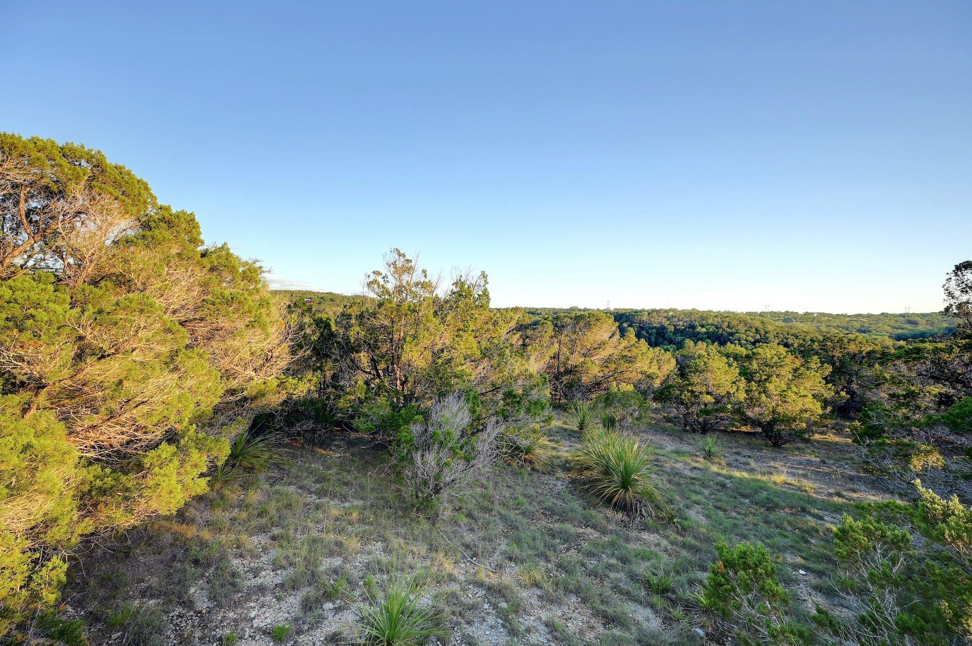 10700 Fm306 Property Photo 19