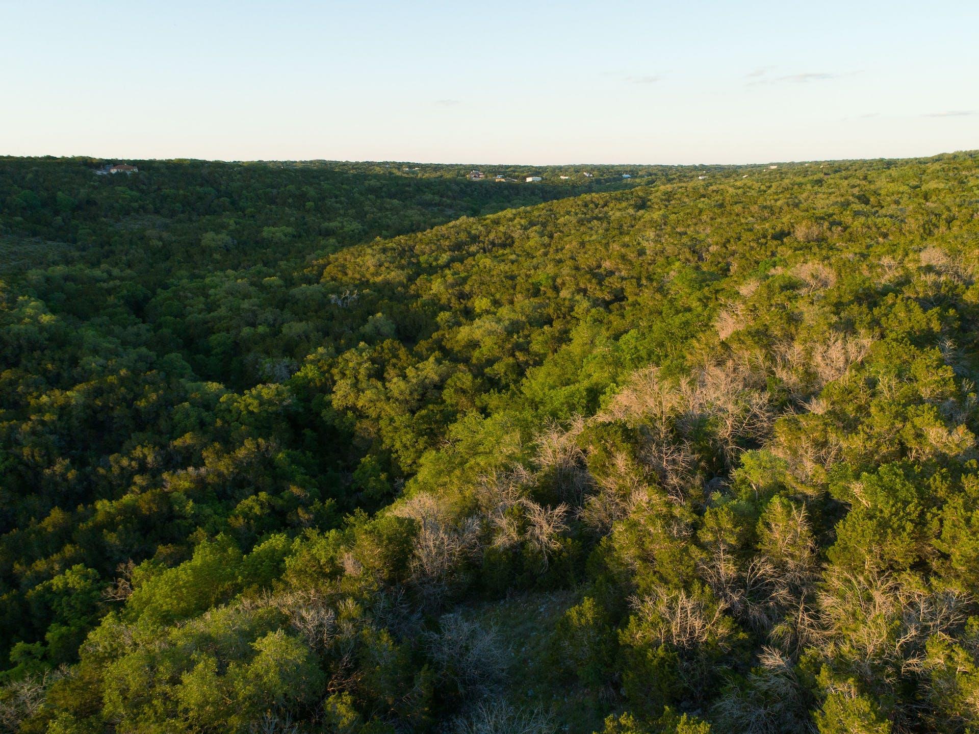 10700 Fm306 Property Photo 20