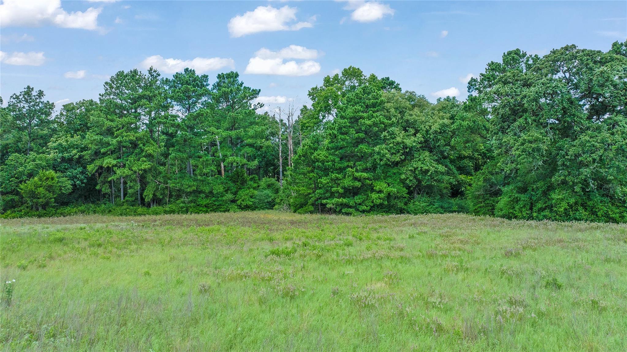 000 Pr 1314 None Property Photo 11