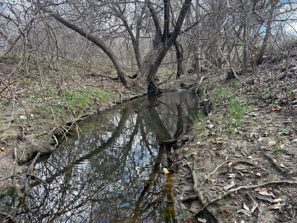 Tbd County Road 196 None Property Photo 11
