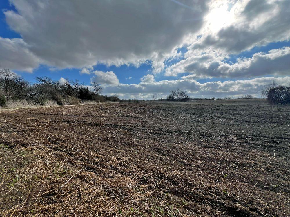 Tbd County Road 196 None Property Photo 14