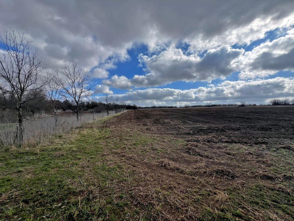 Tbd County Road 196 None Property Photo 15