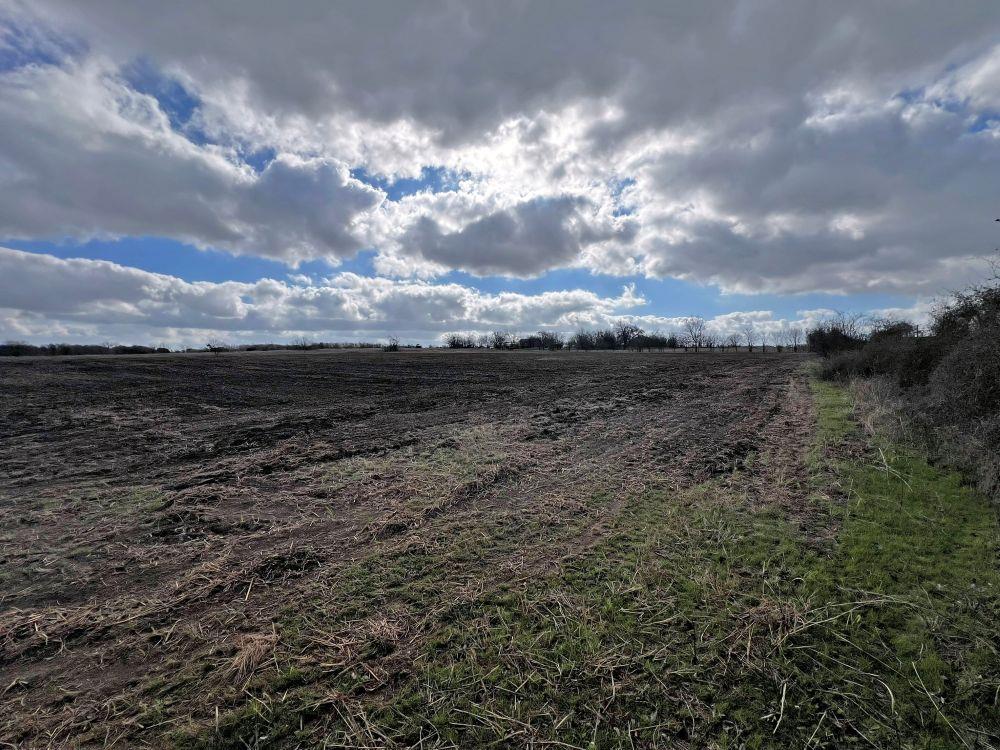 Tbd County Road 196 None Property Photo 16