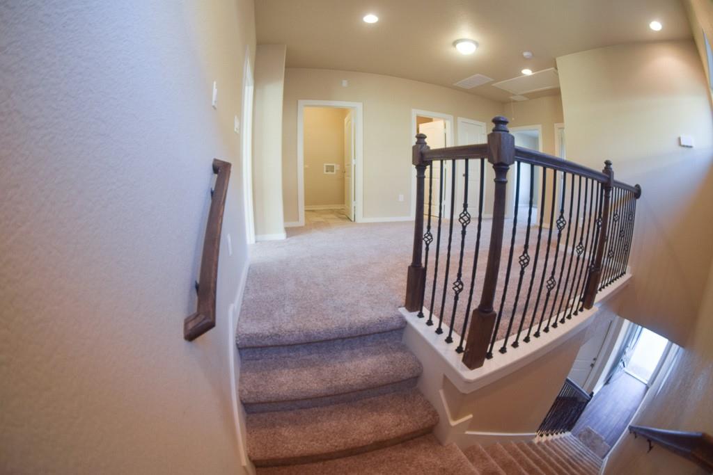 3303 Elija St Property Photo 34