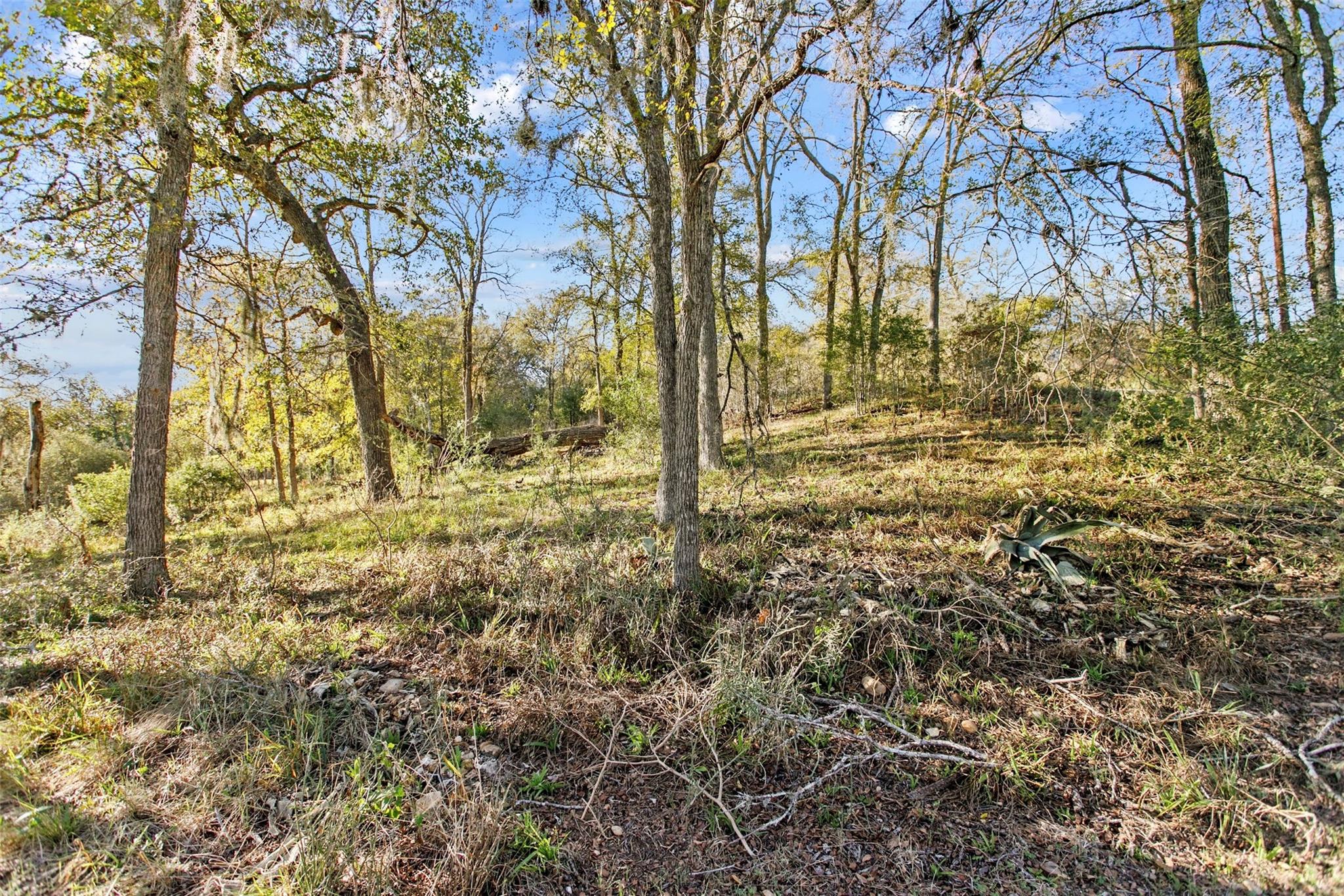 0 Konahuanui Ln Property Photo 7