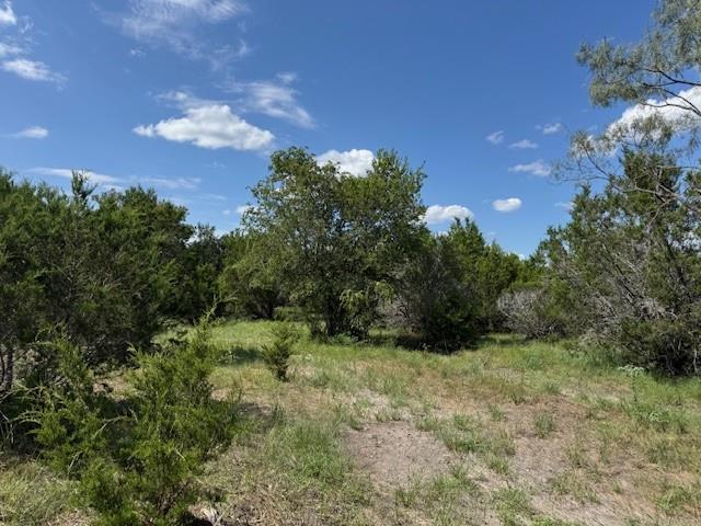 Lot 22 Rifle Ridge None Property Photo 5