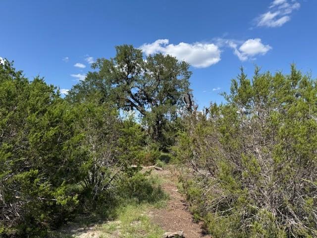 Lot 22 Rifle Ridge None Property Photo 7