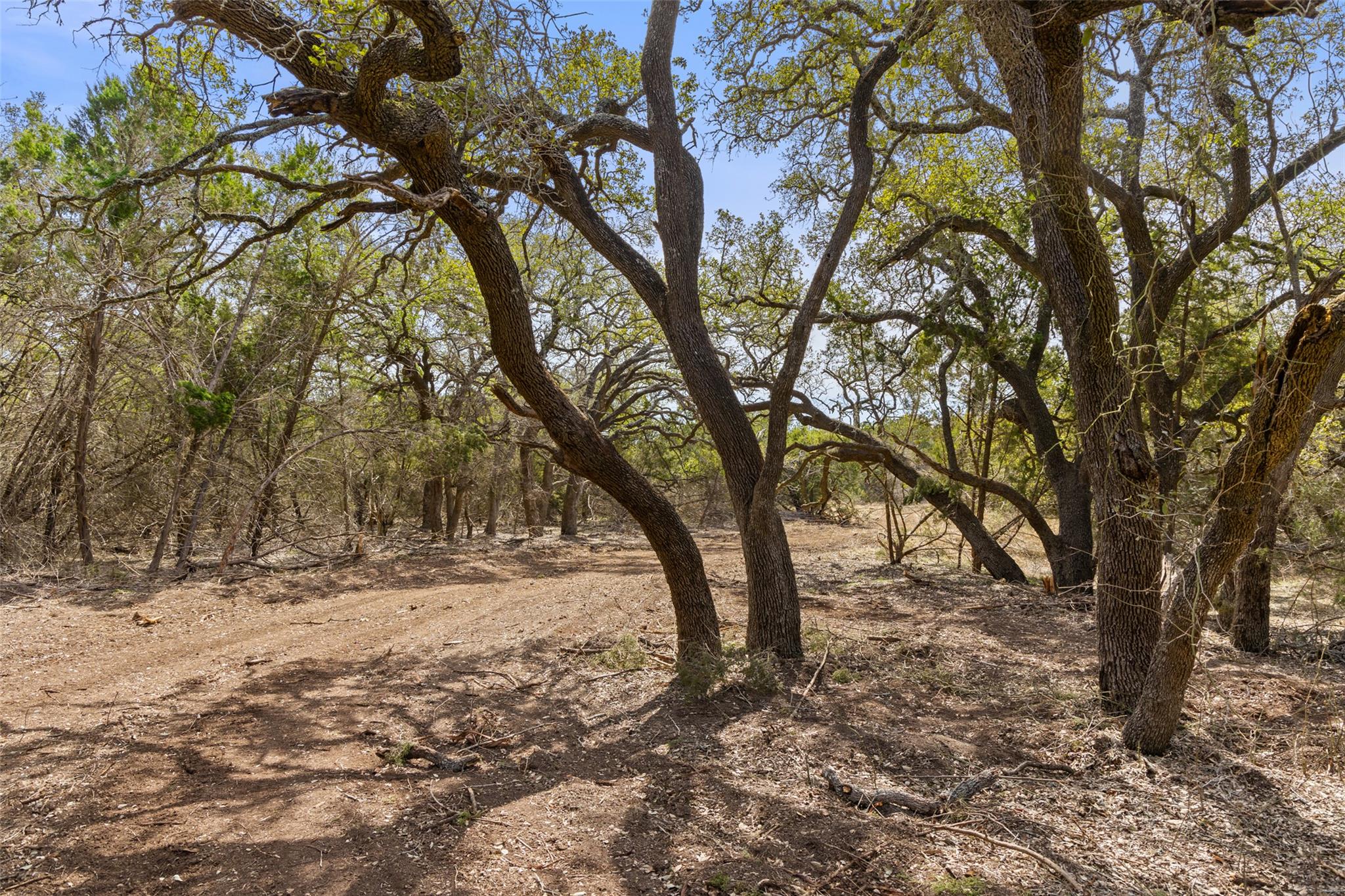 Tbd Rm 2721 Property Photo 12