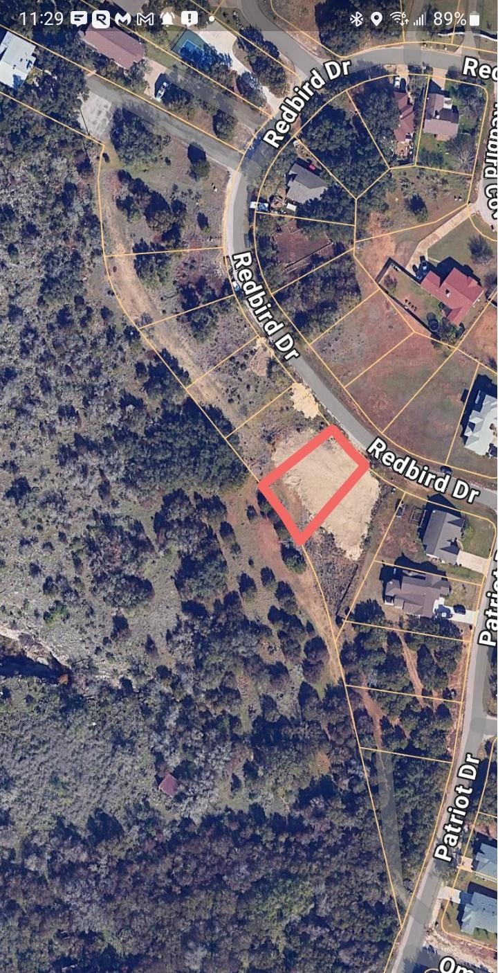 22005 Redbird Dr Property Photo 3