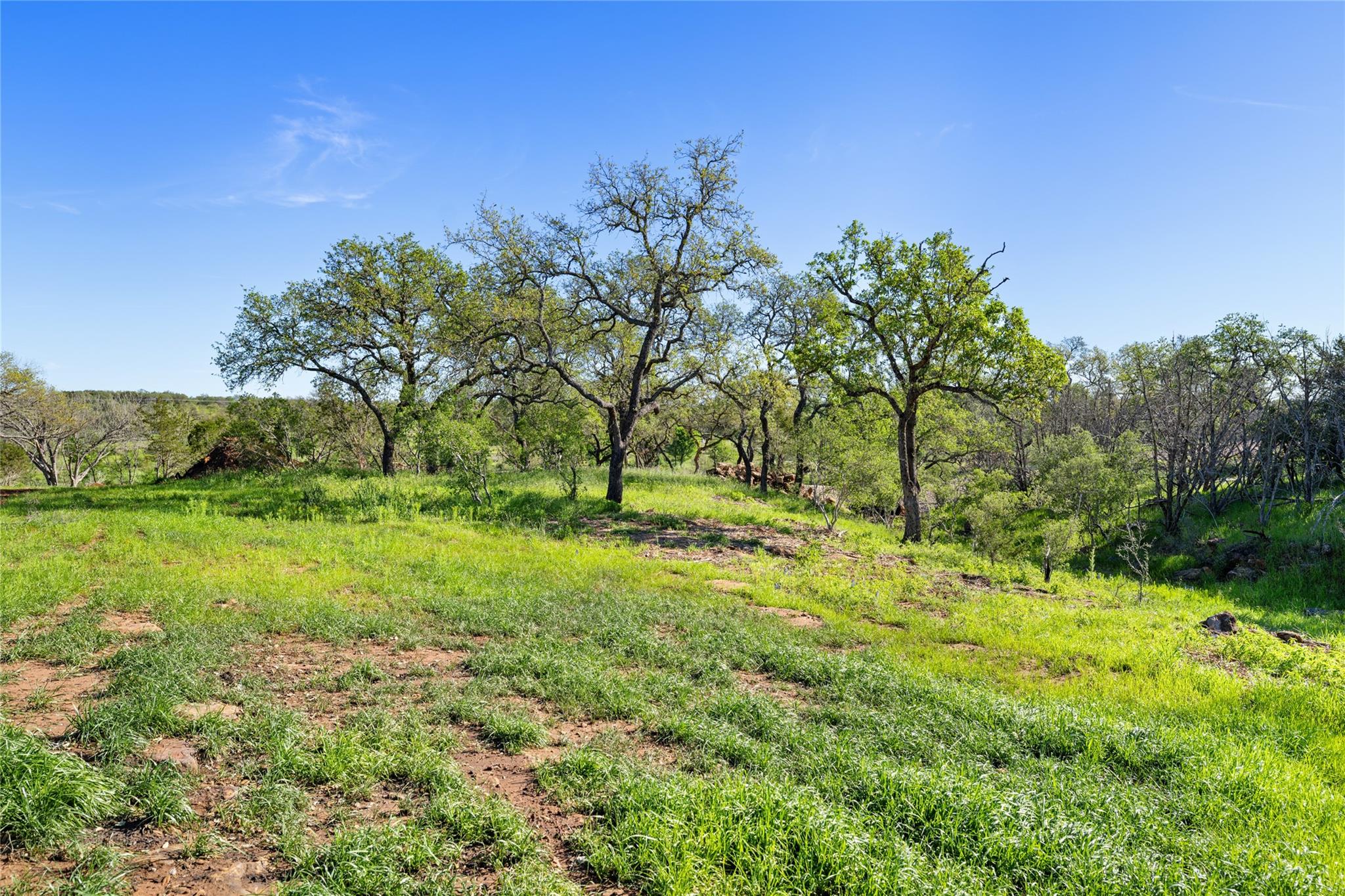 1594-40 Ranch Road 1320 Property Photo 11