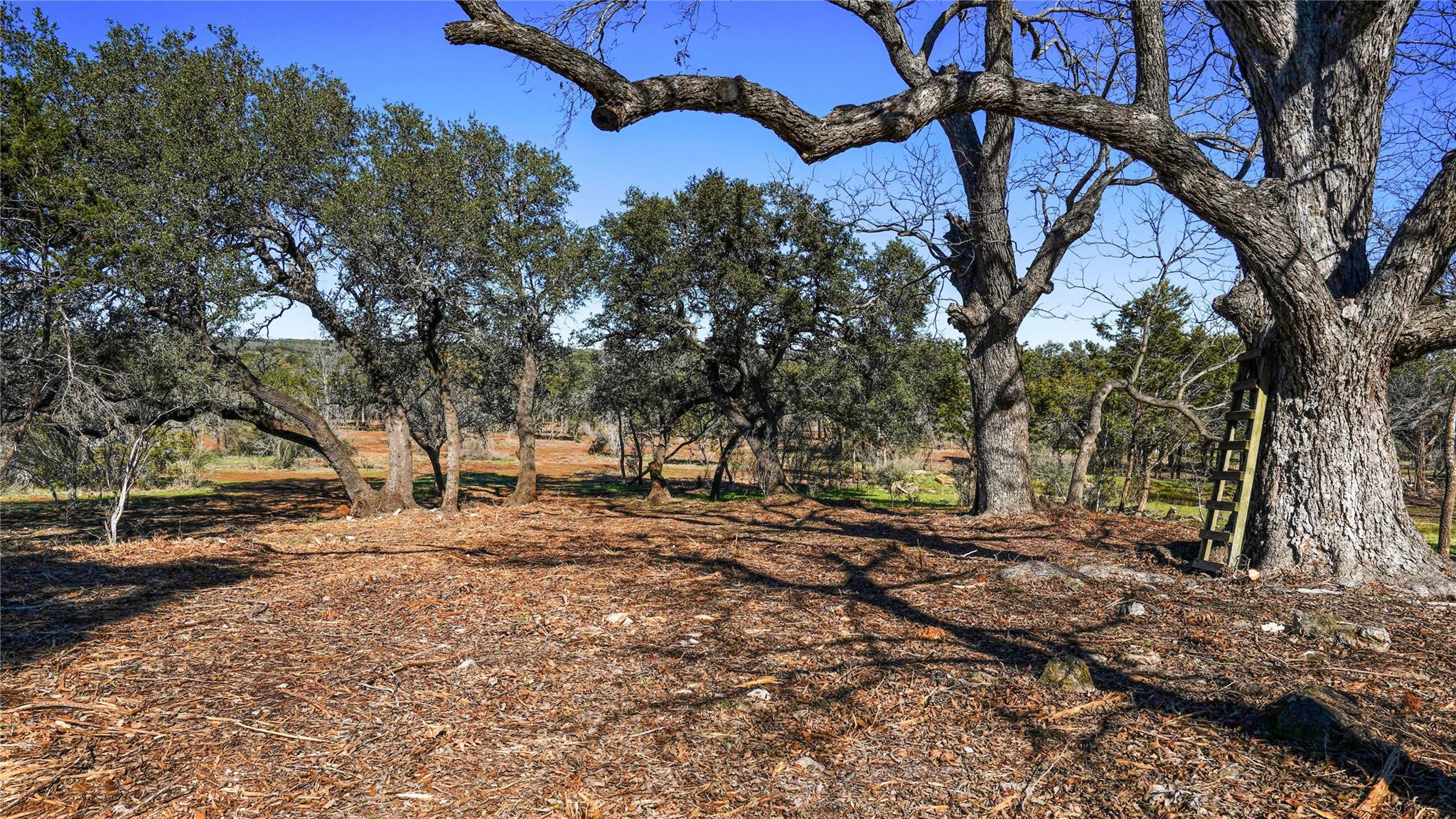 1594-40 Ranch Road 1320 Property Photo 12