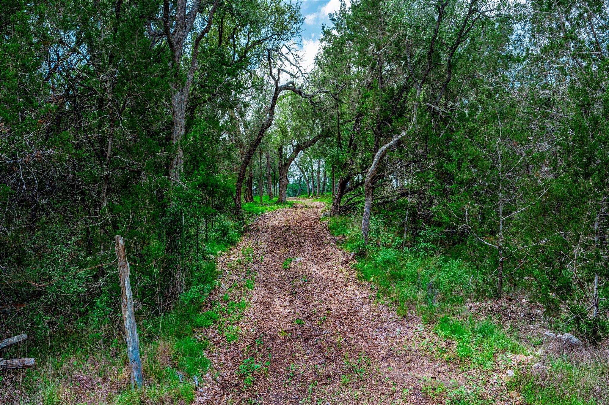 330 Live Oak Hills Ct Property Photo 21