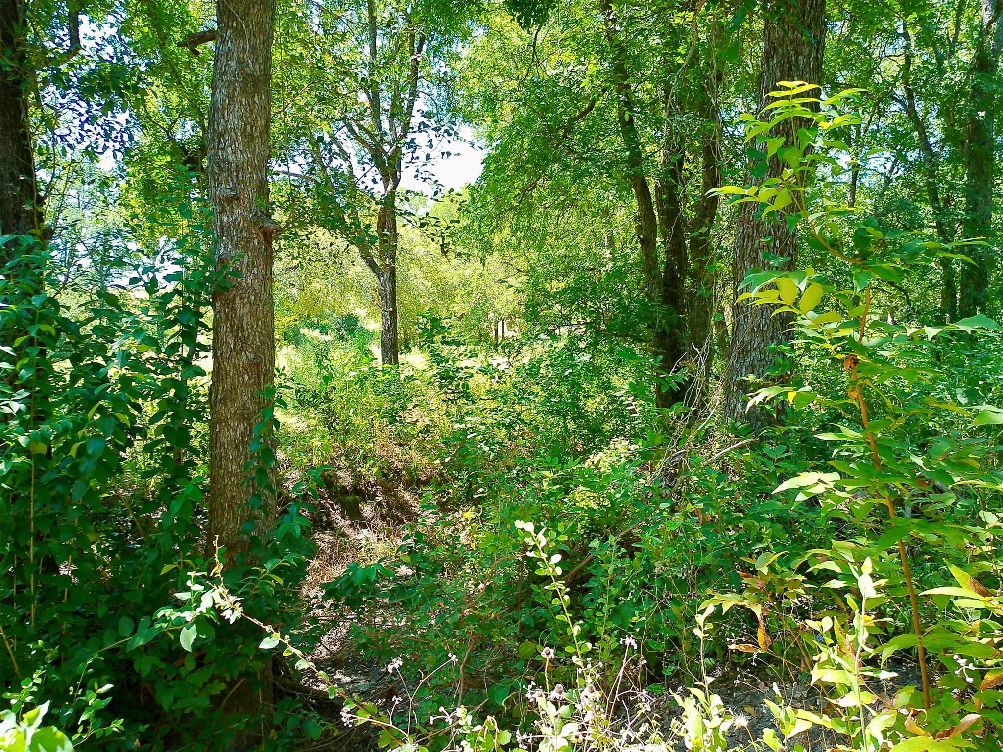 208 Serenity Dr Property Photo 2