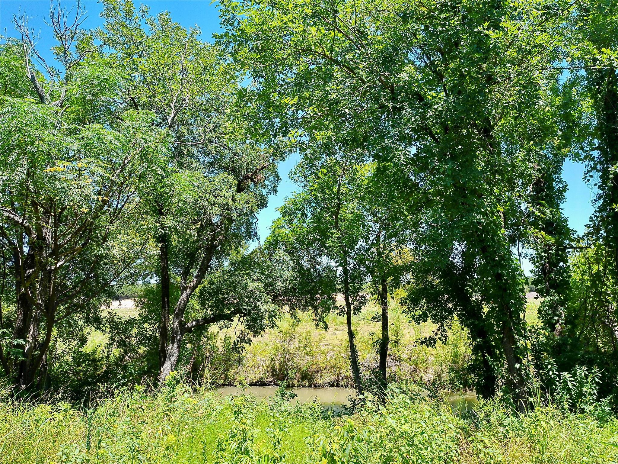 208 Serenity Dr Property Photo 11