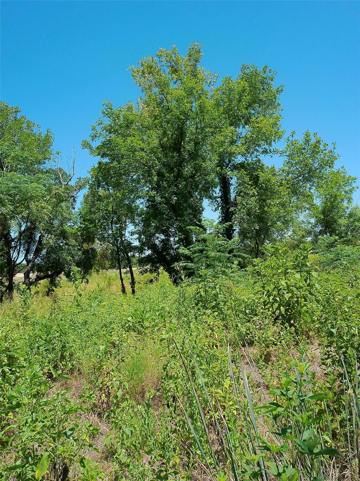 208 Serenity Dr Property Photo 12