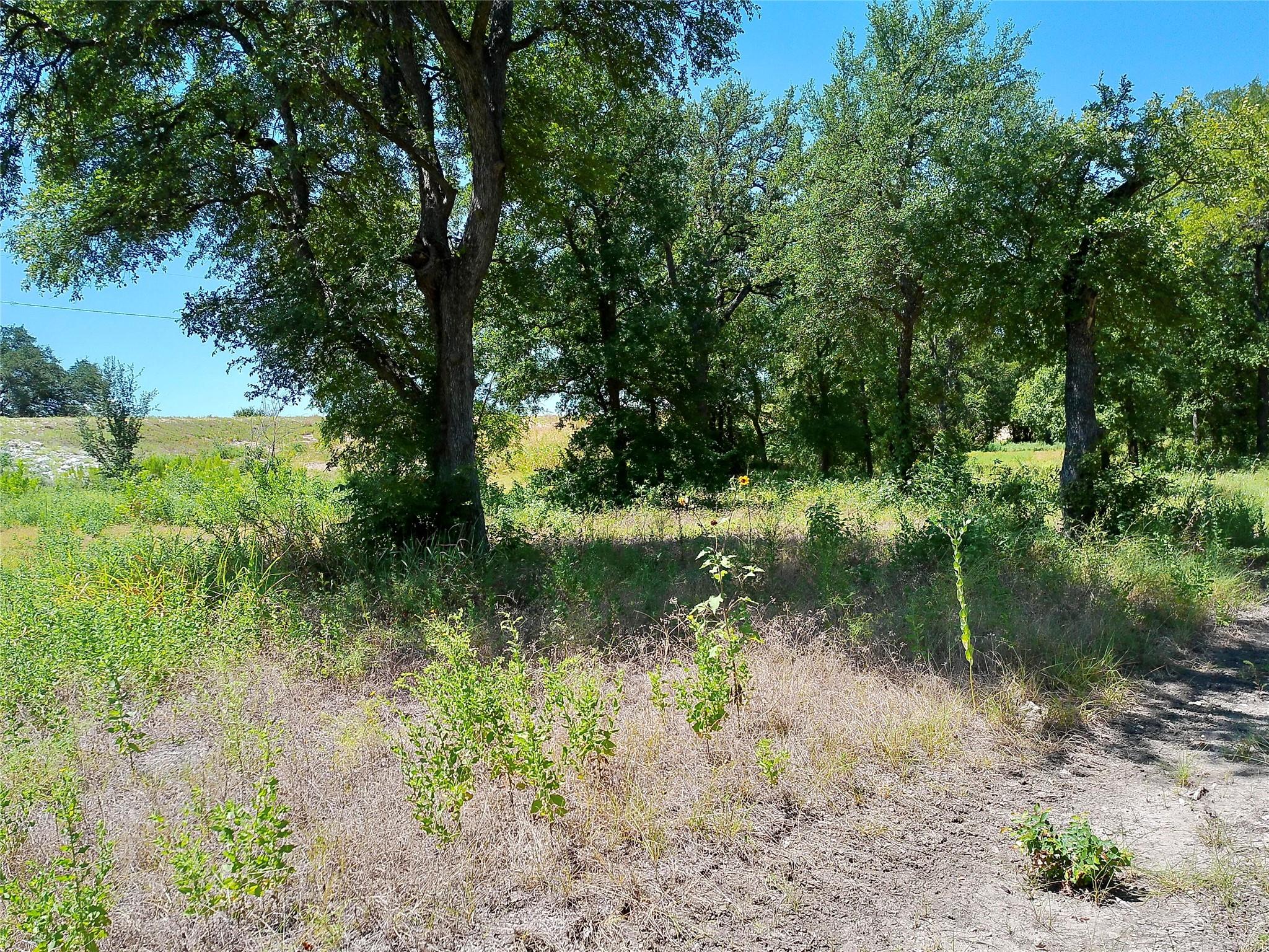 208 Serenity Dr Property Photo 19