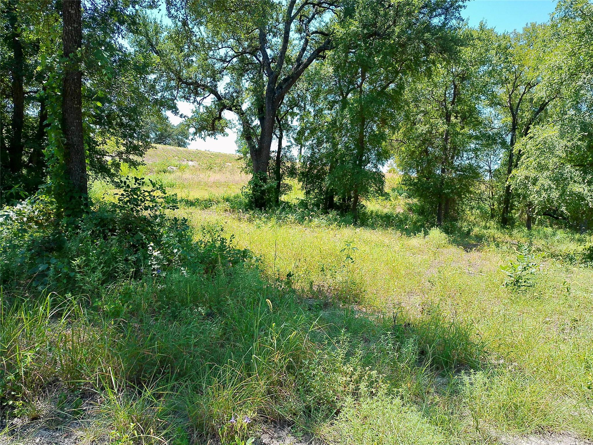 208 Serenity Dr Property Photo 20