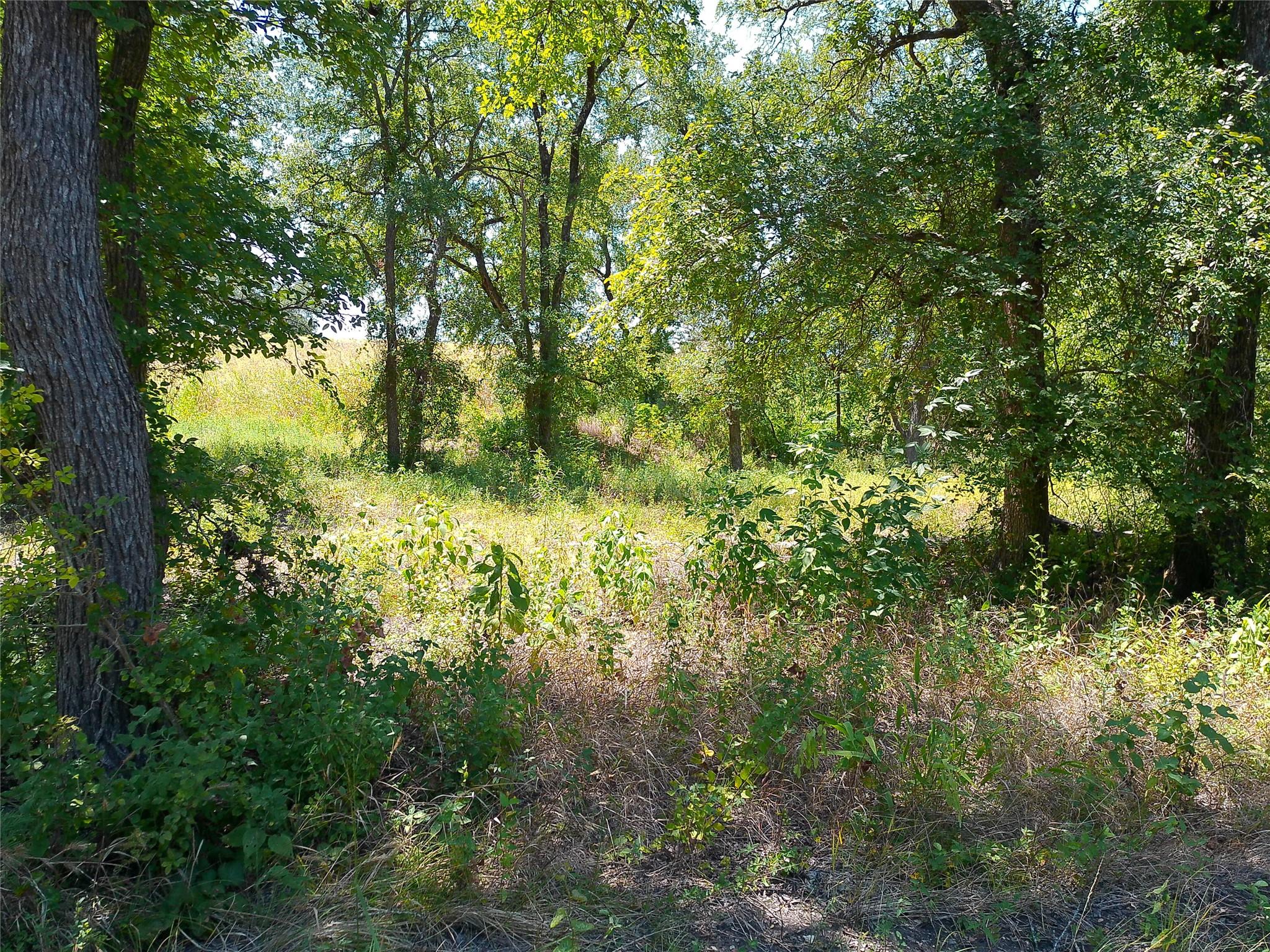208 Serenity Dr Property Photo 27