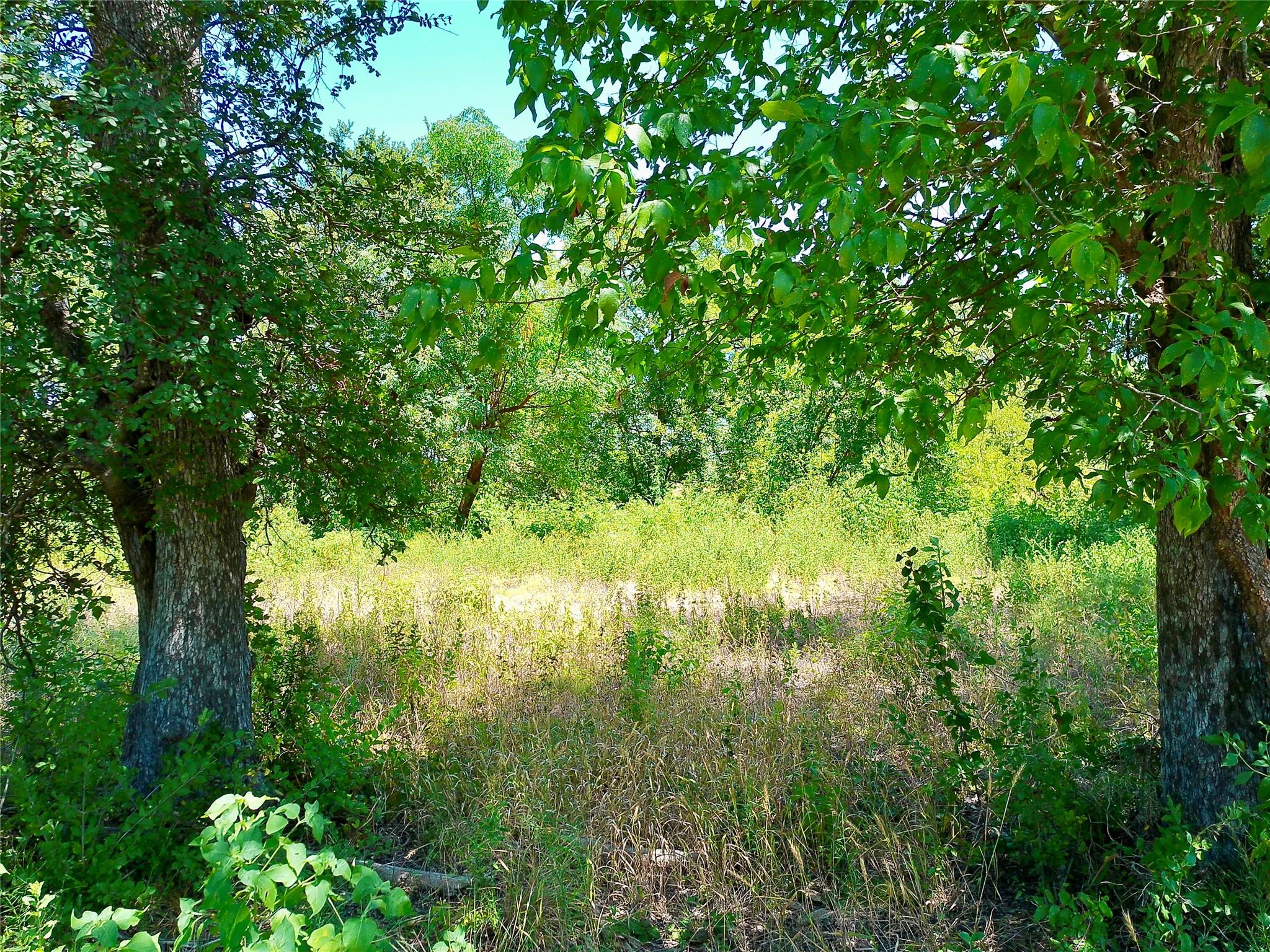 208 Serenity Dr Property Photo 30
