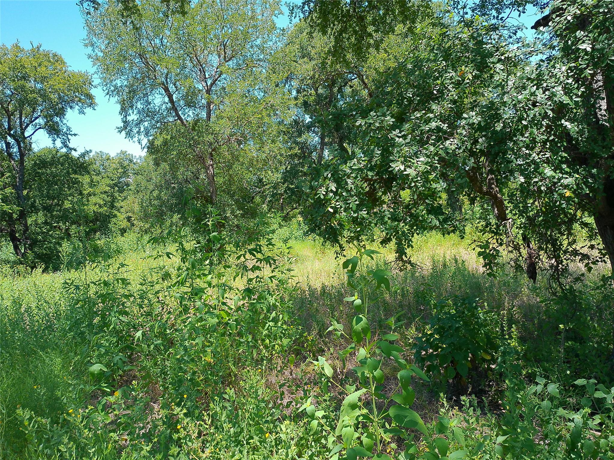 208 Serenity Dr Property Photo 32