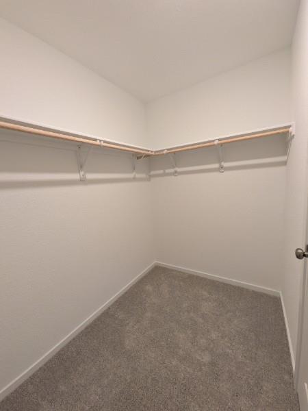160 Star Packer Ln Property Photo 2