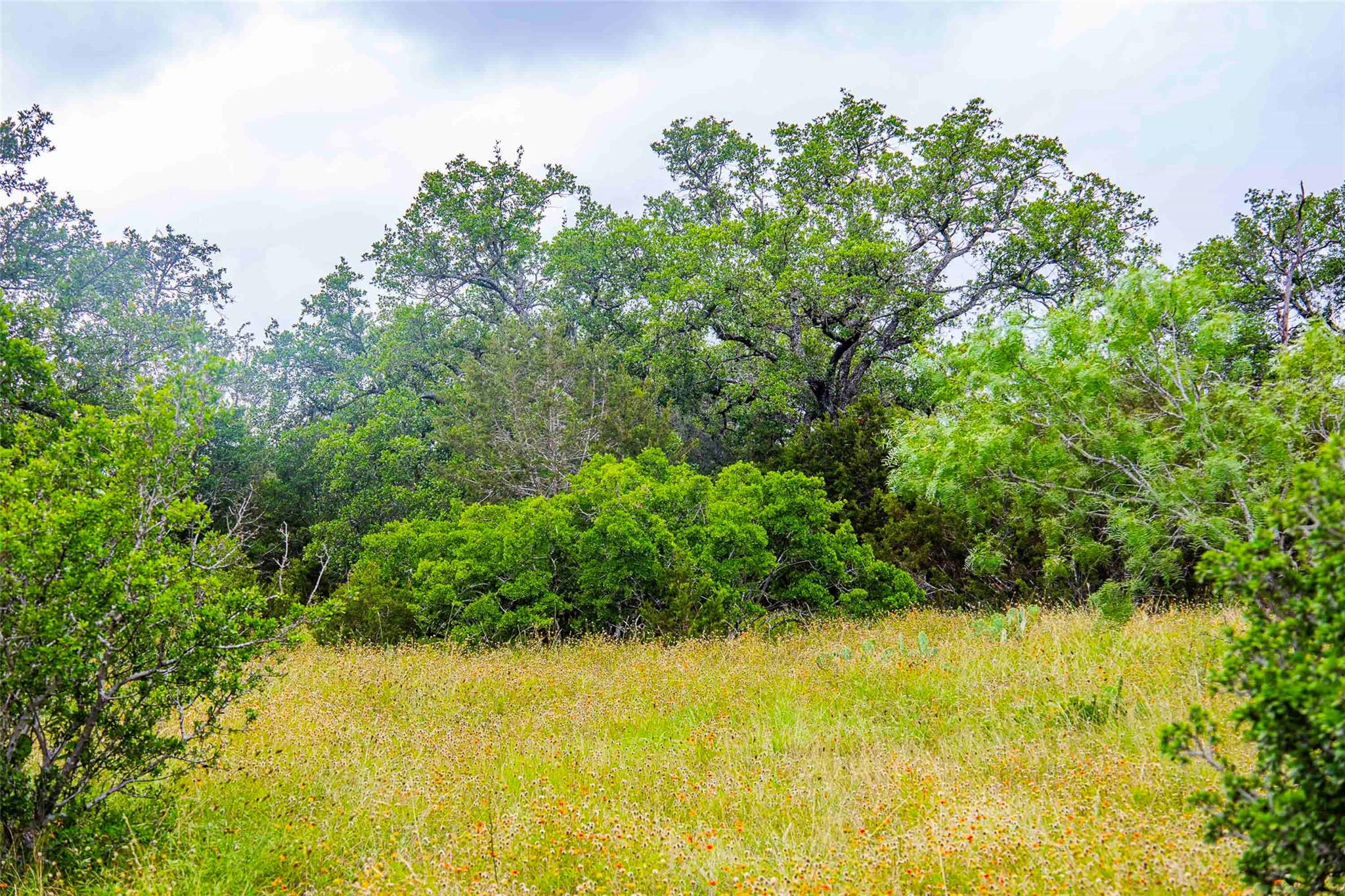302 Vista View Trl Property Photo 13