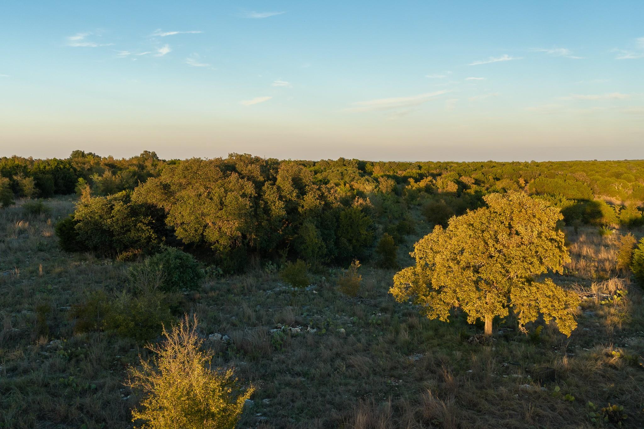 21 Night Sky Drive Dr Property Photo 19
