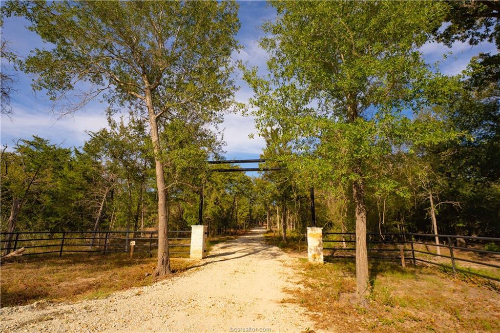 12504 Red Hill Rd Property Photo 5