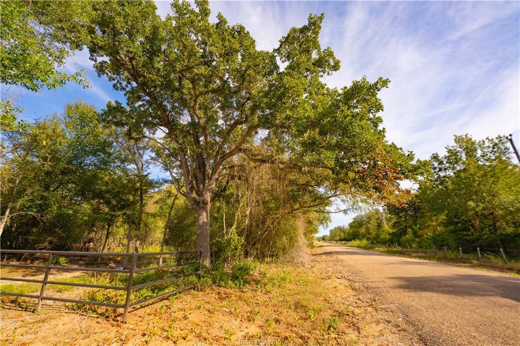 12504 Red Hill Rd Property Photo 7