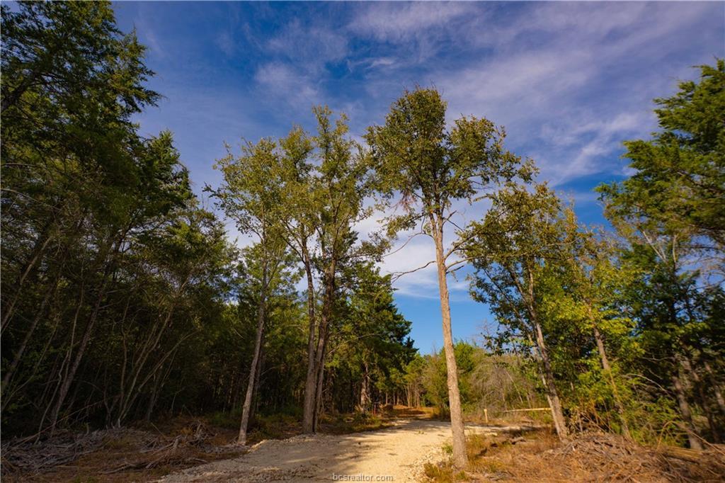 12504 Red Hill Rd Property Photo 9