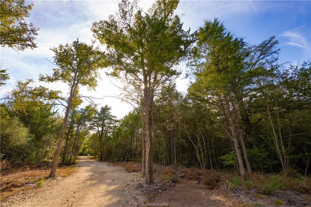 12504 Red Hill Rd Property Photo 12