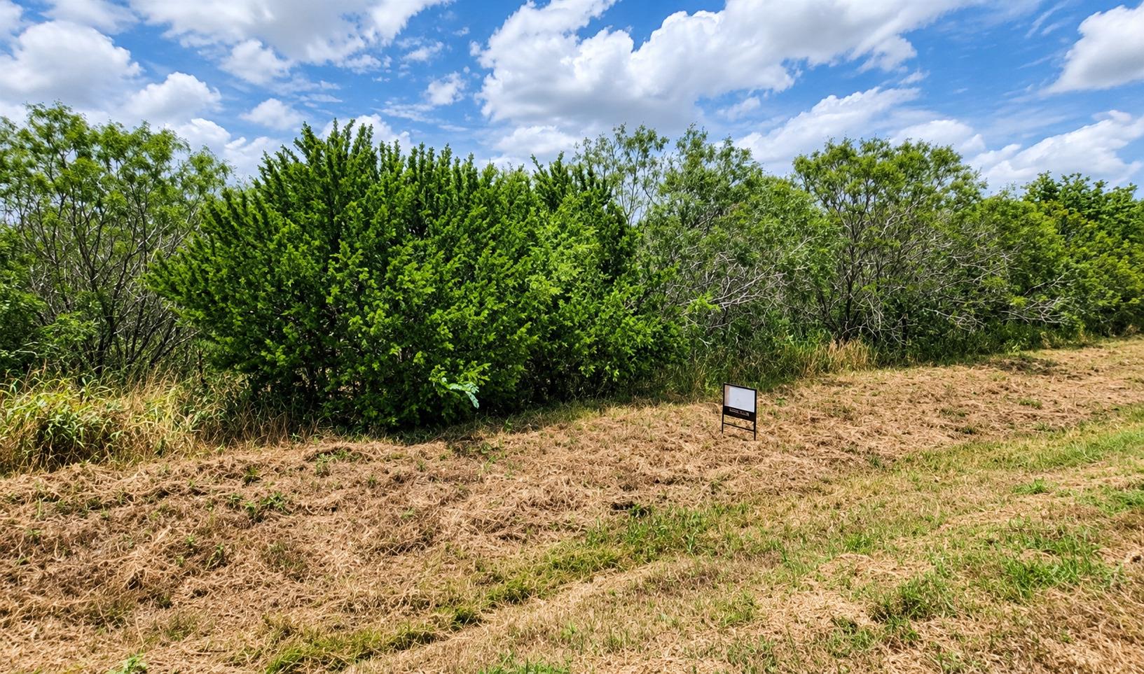 000 Fm 466 St Property Photo 1