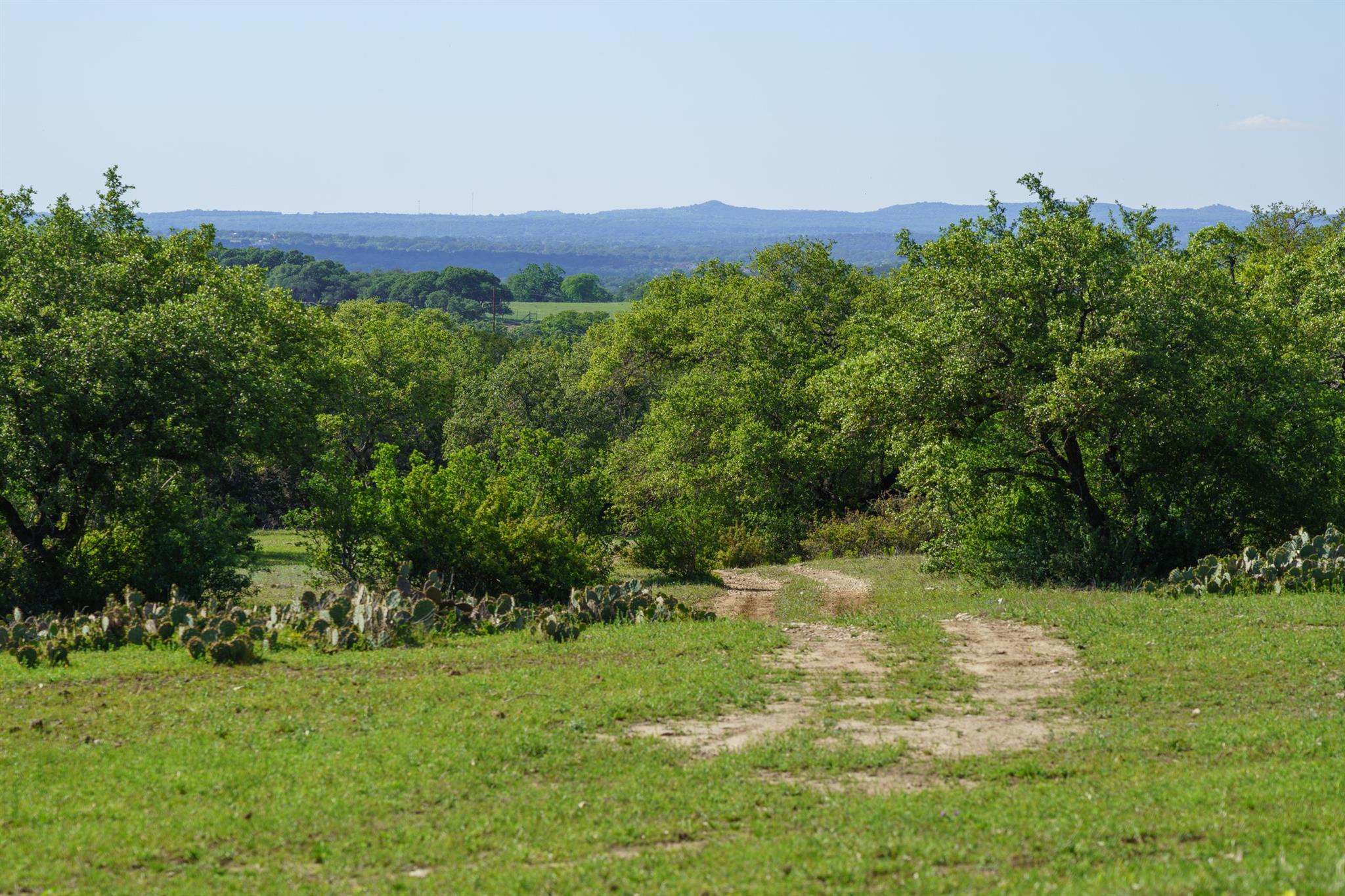 892 Baird Ranch Rd Property Photo 11
