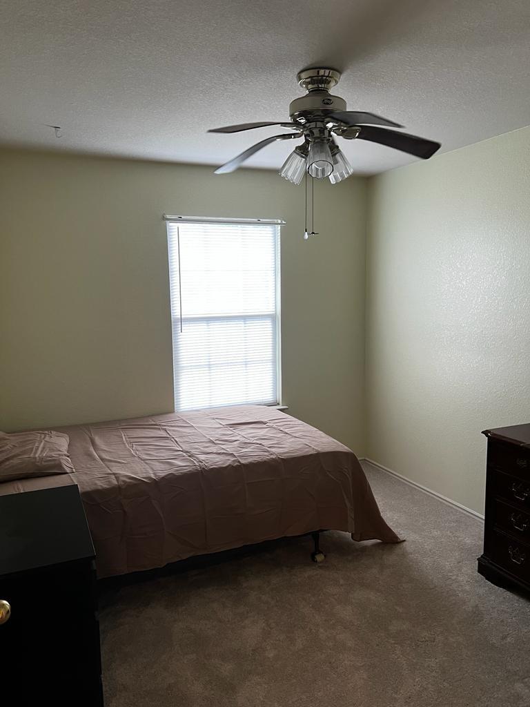 1109 Stone Forest Trl Property Photo 5