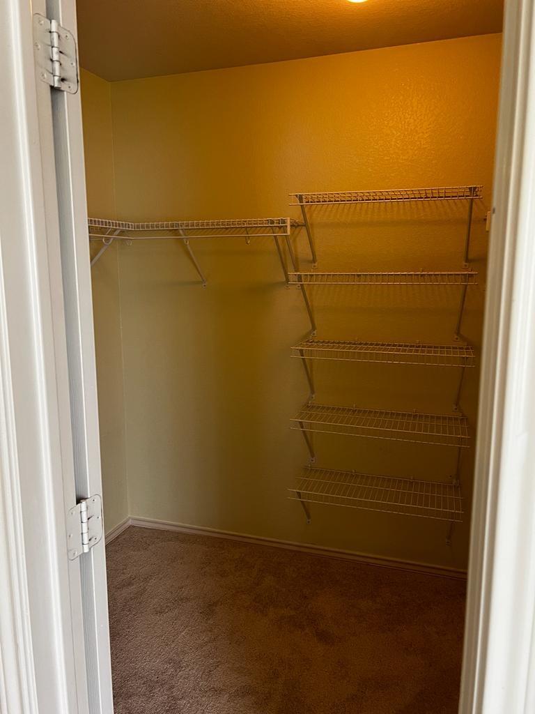 1109 Stone Forest Trl Property Photo 9