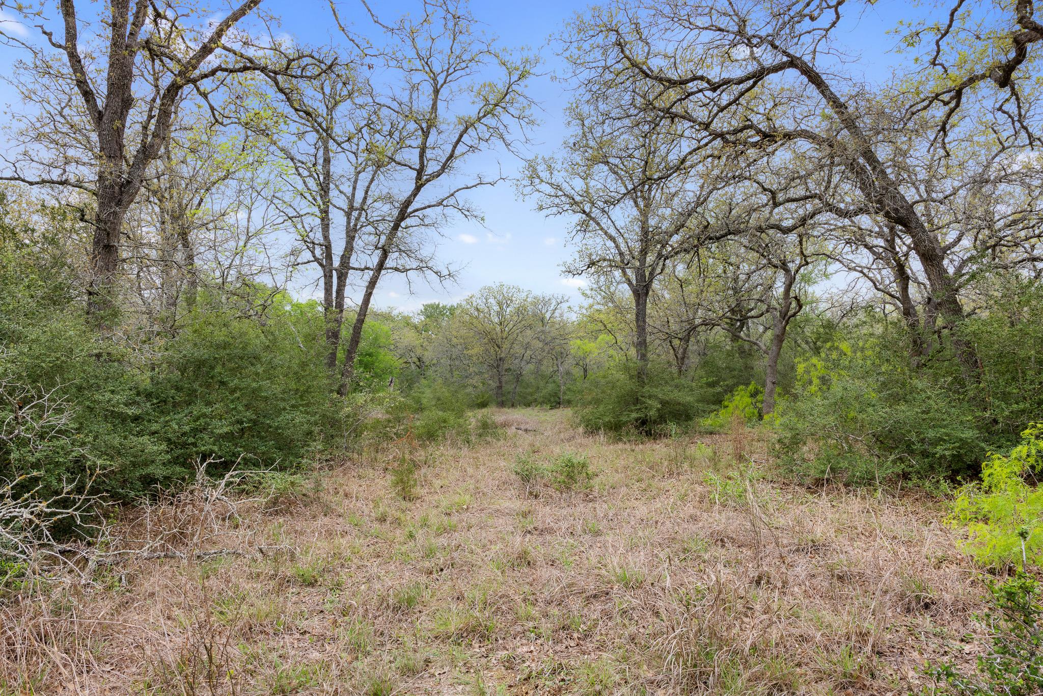1605 Lariet Dr Property Photo 11