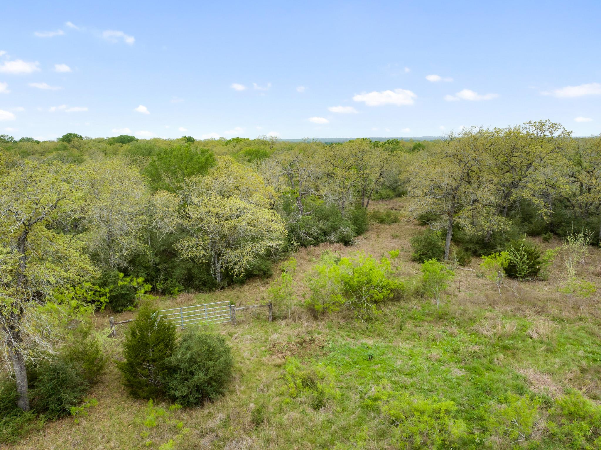 1605 Lariet Dr Property Photo 30