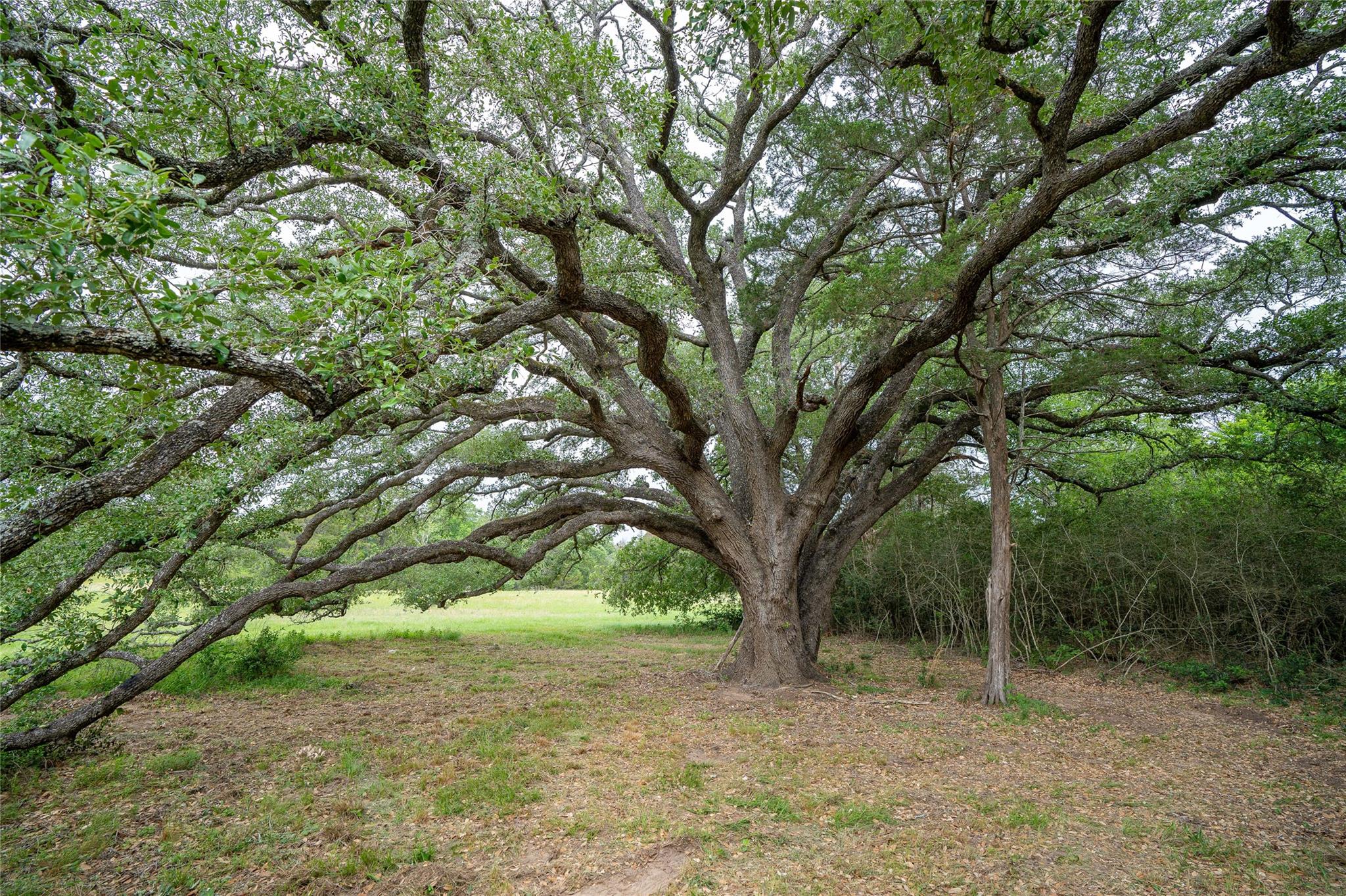 Tbd Fm 713 Highway Property Photo 1