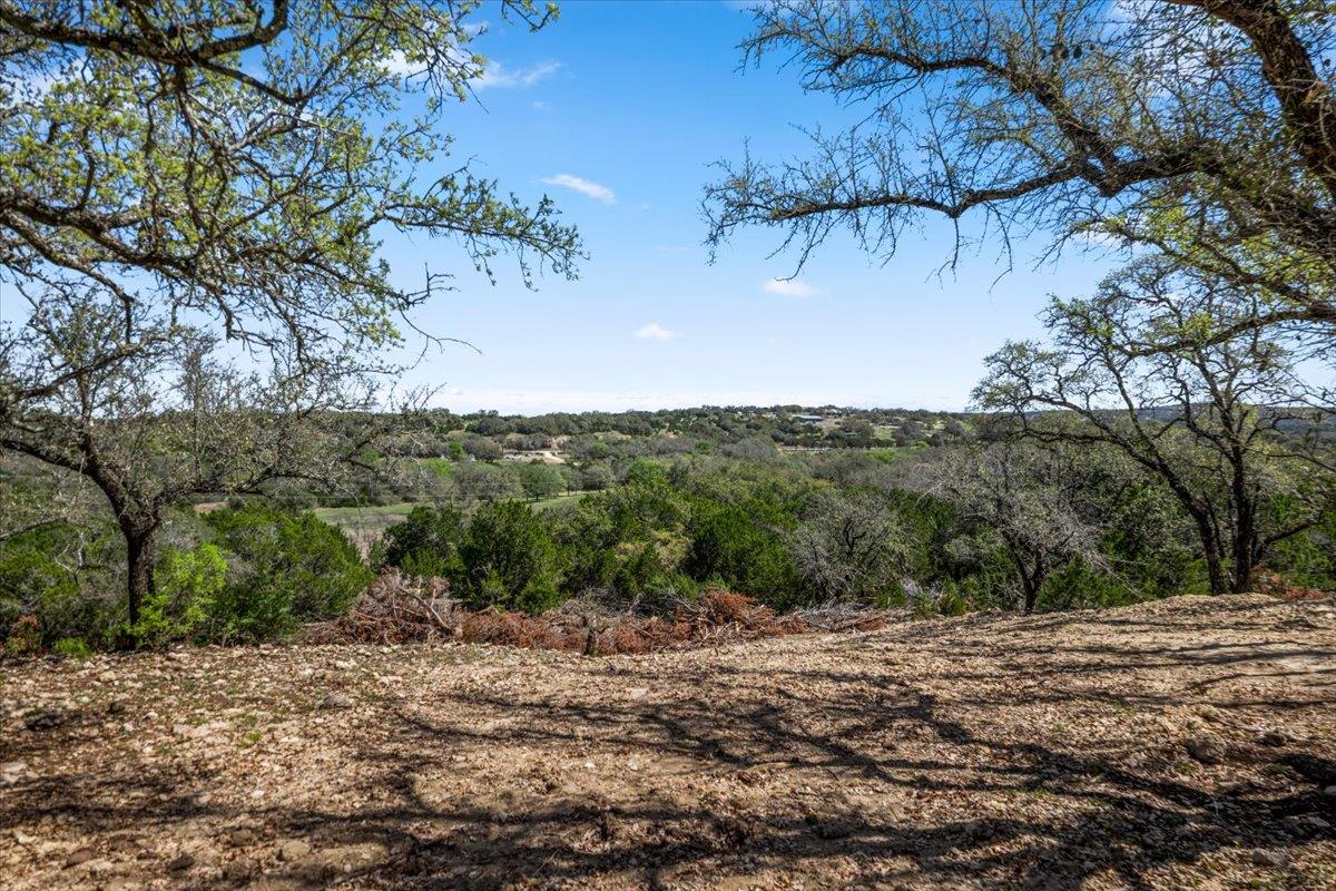 25723 Hamilton Pool Rd Property Photo 2