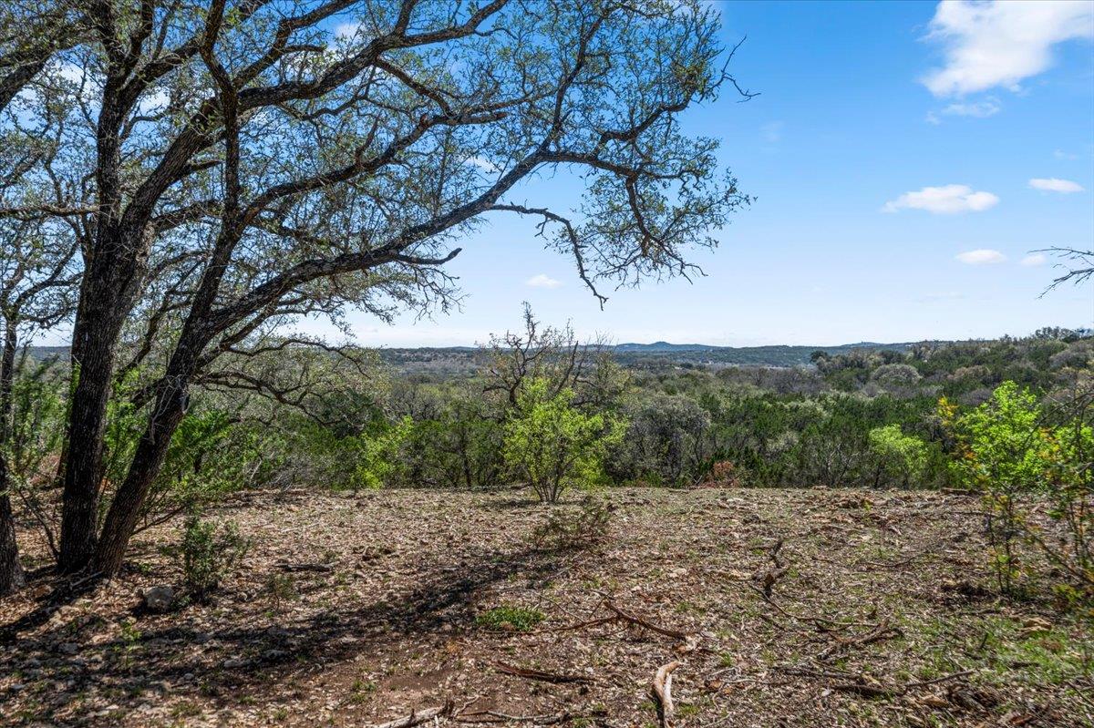 25723 Hamilton Pool Rd Property Photo 5