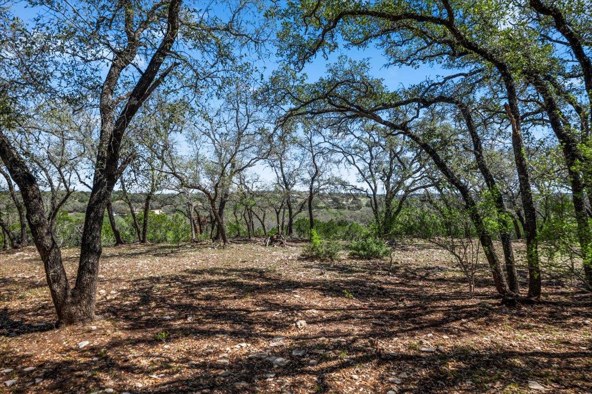 25723 Hamilton Pool Rd Property Photo 10