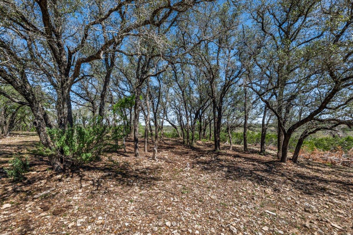 25723 Hamilton Pool Rd Property Photo 11