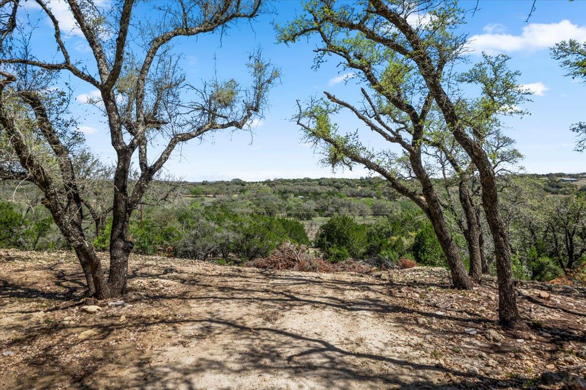 25723 Hamilton Pool Rd Property Photo 12