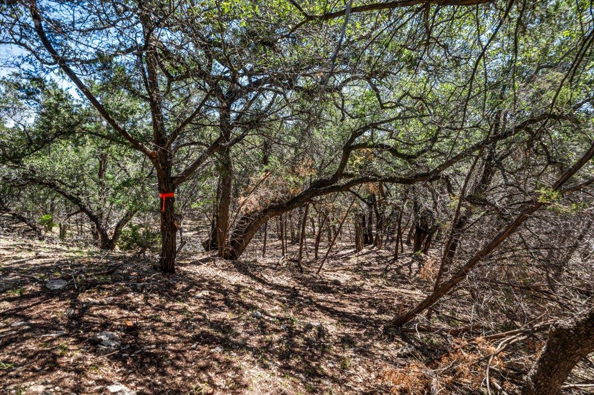 25723 Hamilton Pool Rd Property Photo 14