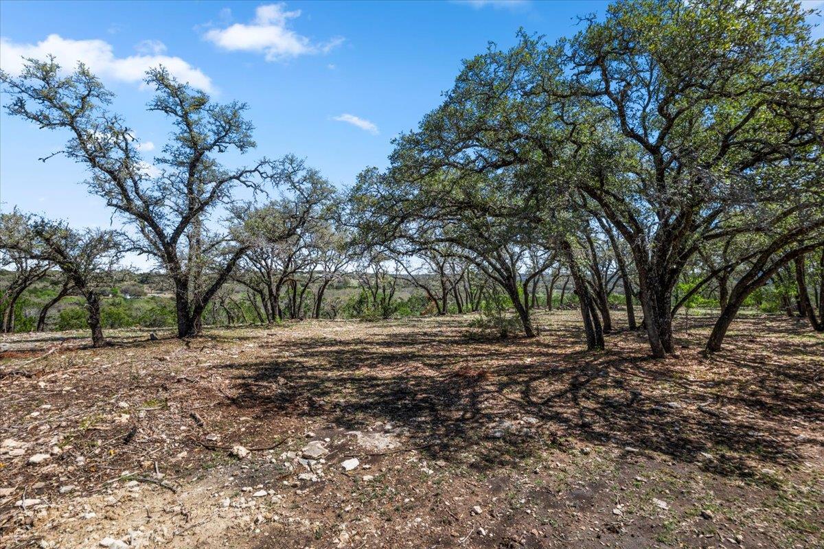 25723 Hamilton Pool Rd Property Photo 16