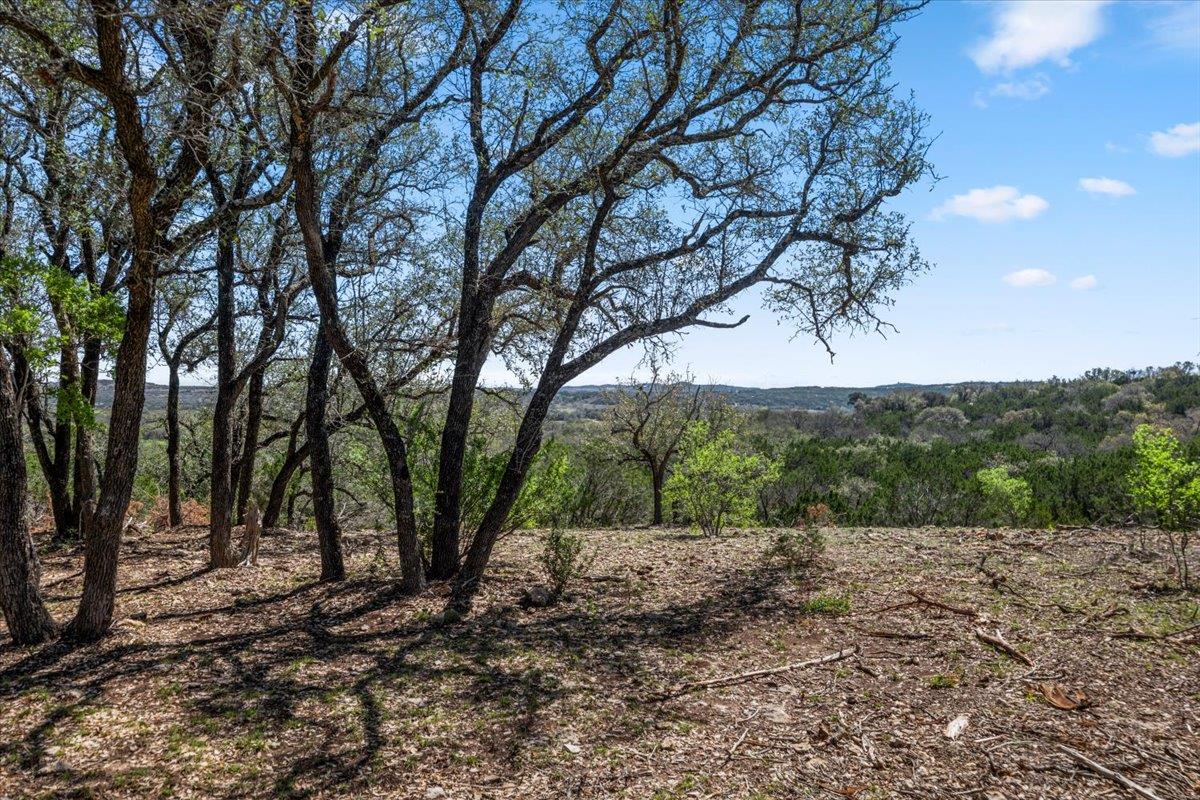 25723 Hamilton Pool Rd Property Photo 19