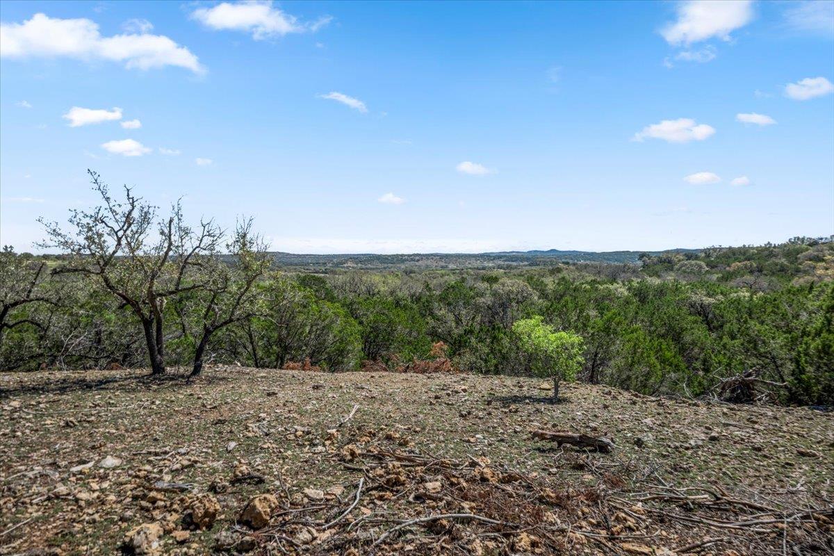 25723 Hamilton Pool Rd Property Photo 21