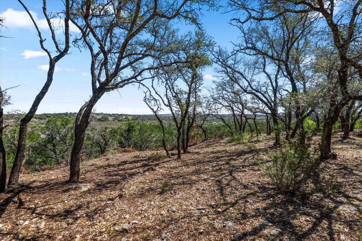 25723 Hamilton Pool Rd Property Photo 22